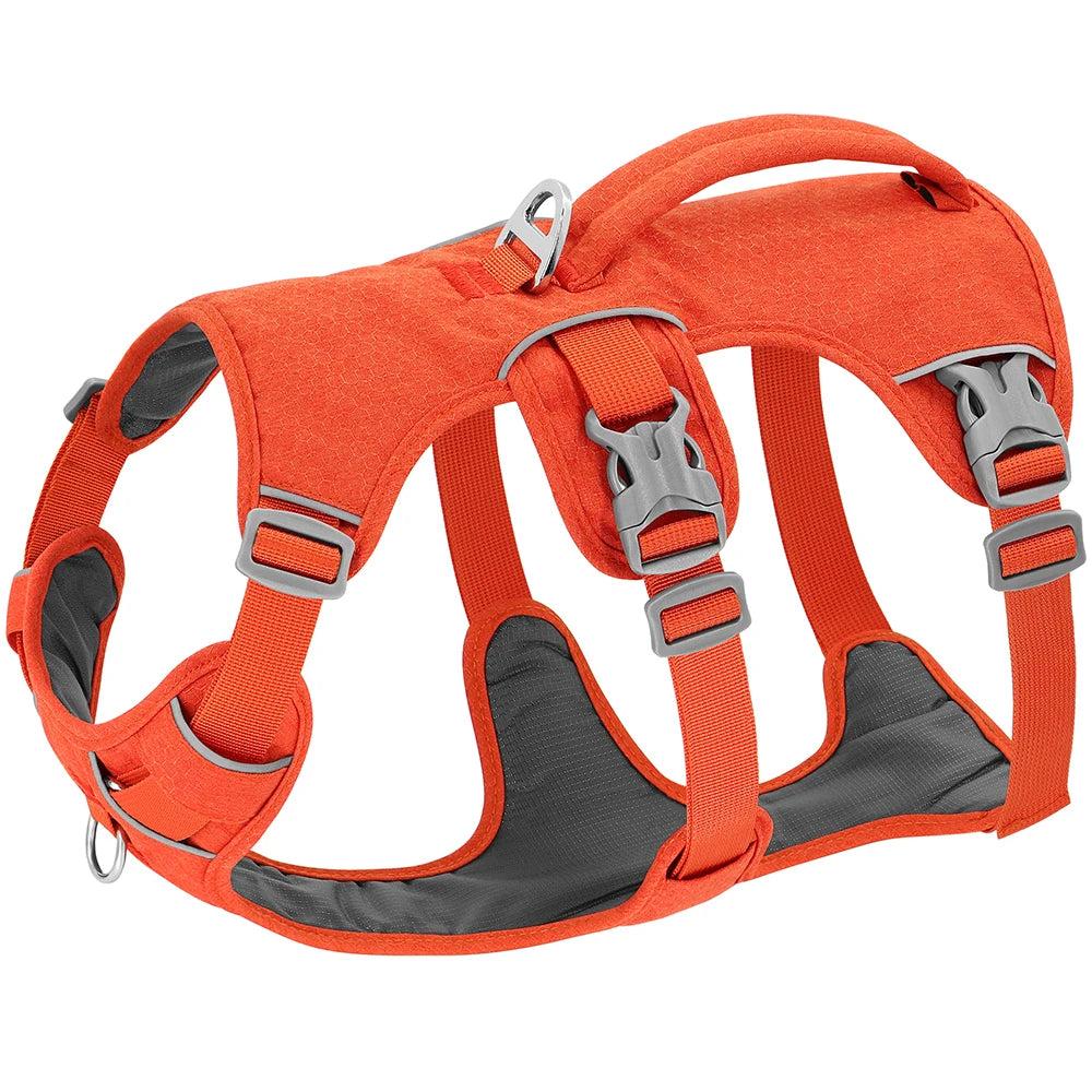 Escape-Proof Reflective Dog Harness – Adjustable Vest