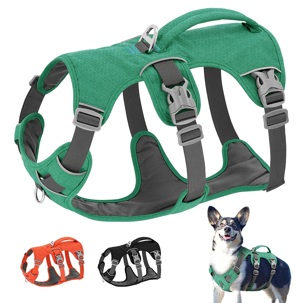 Escape-Proof Reflective Dog Harness – Adjustable Vest