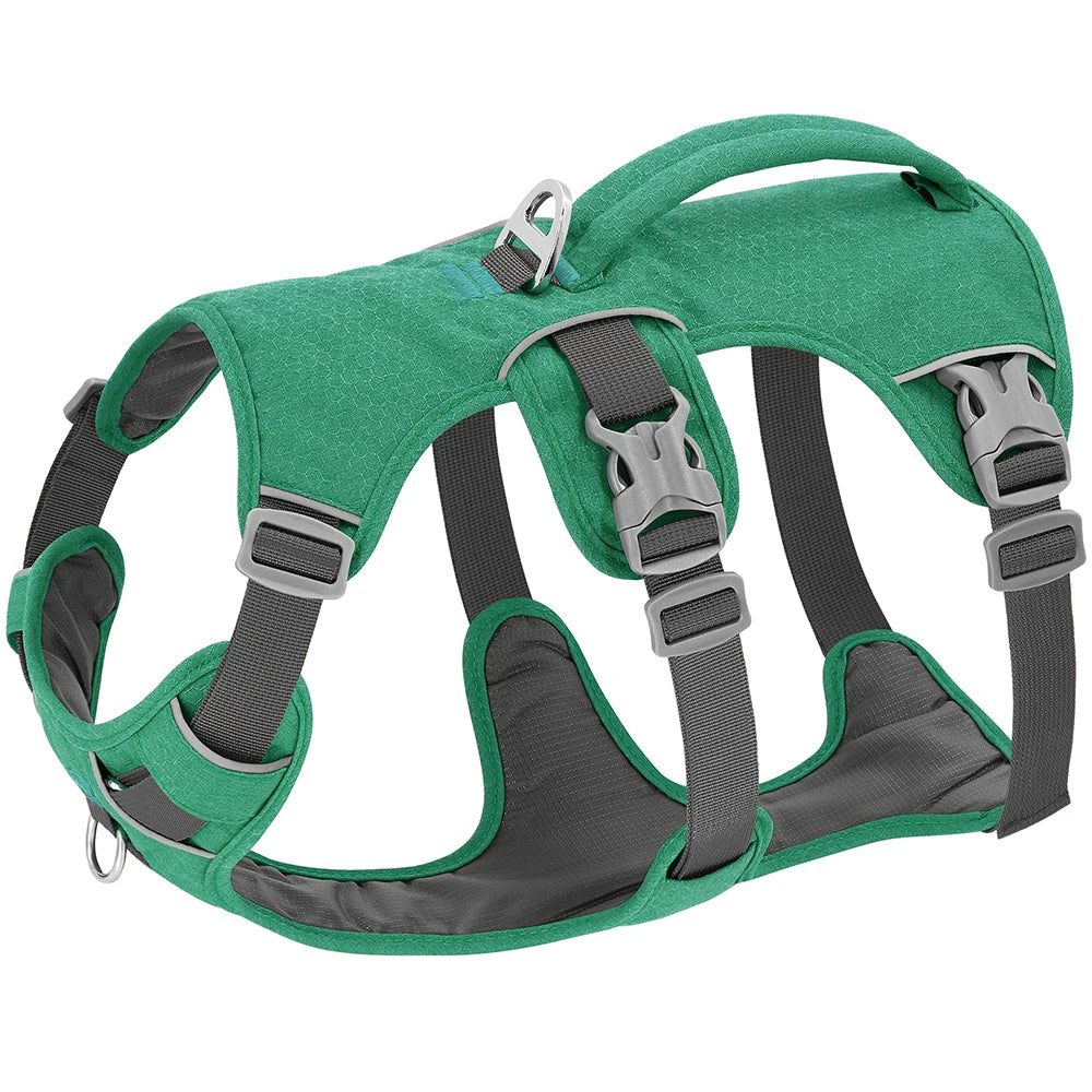 Escape-Proof Reflective Dog Harness – Adjustable Vest